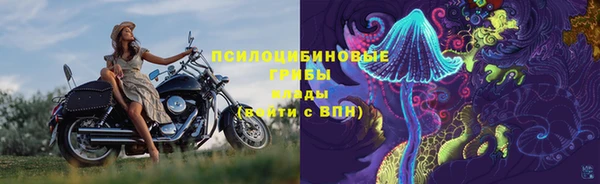 альфа пвп Бородино