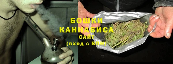 мдпв Бронницы
