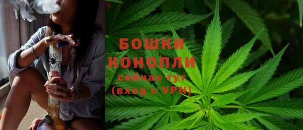 мдпв Бронницы