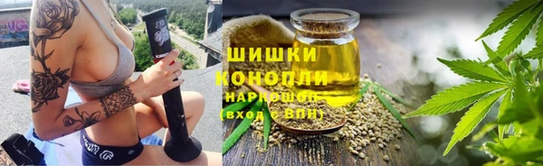 мдпв Бронницы