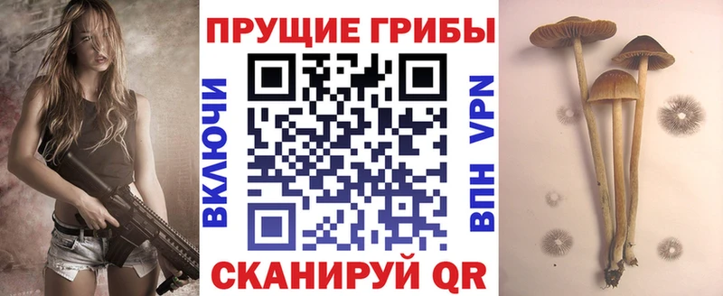 Галлюциногенные грибы мухоморы  что такое наркотик  Махачкала 